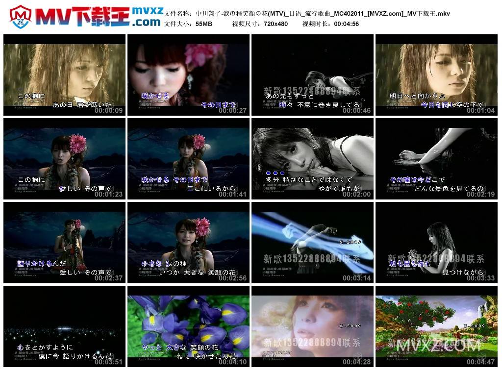 中川翔子-涙の種笑顔の花(MTV)_日语_流行歌曲_MC402011